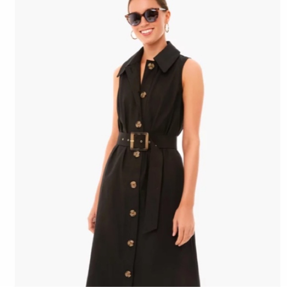 Tuckernuck Black Sleeveless Button-Front Maxi Dress - Picture 4 of 7